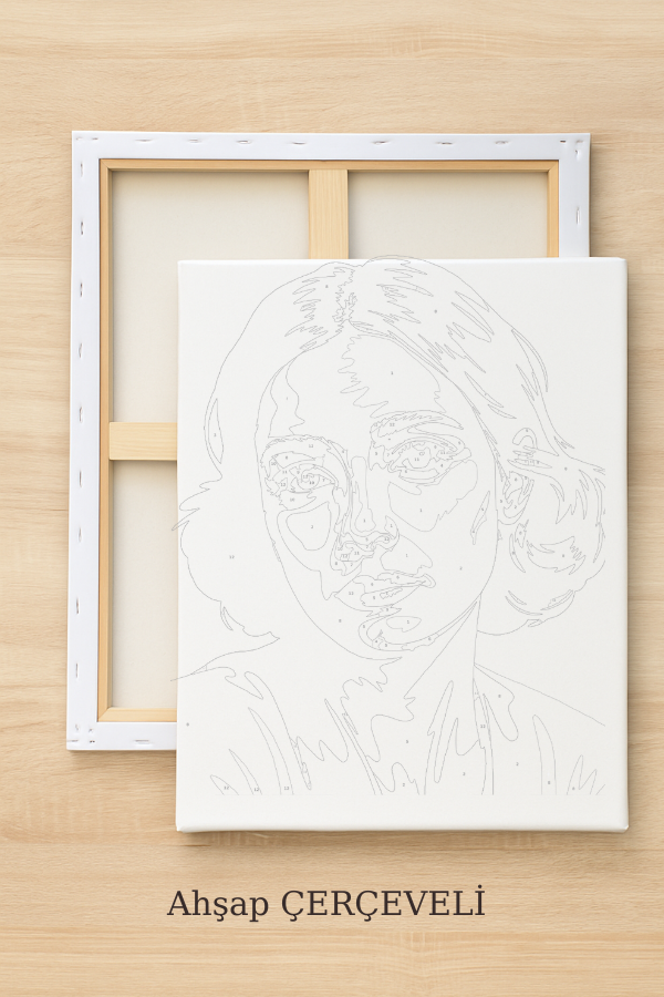 nan  sayılarla boyama seti ürün görseli