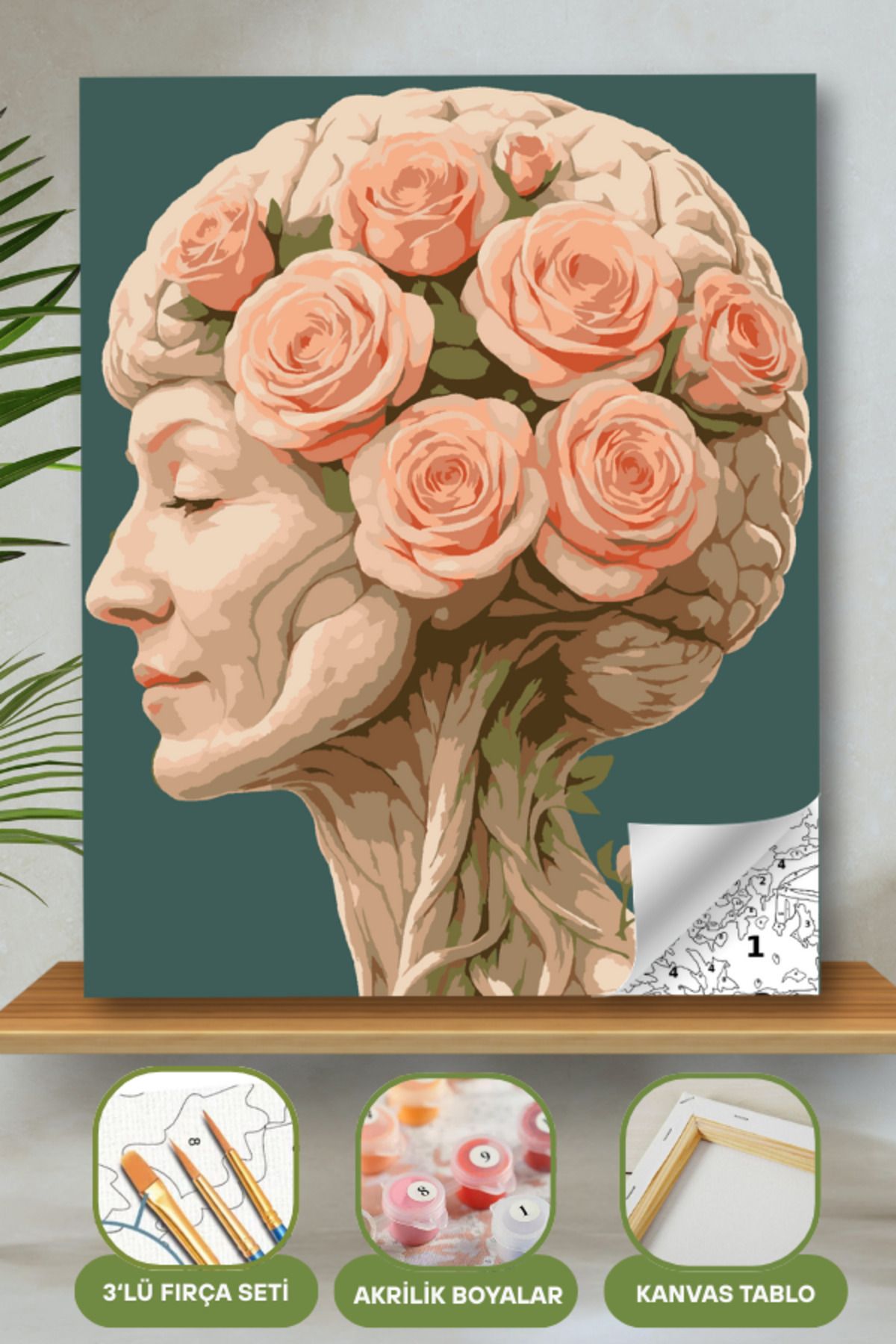 Sayılarla Boyama Ahşap Çerçeveli Kasnaklı Tuval Seti Fırça Boya Dahil Çıtalı 40x50 Cm 40X50 sayılarla boyama seti ürün görseli