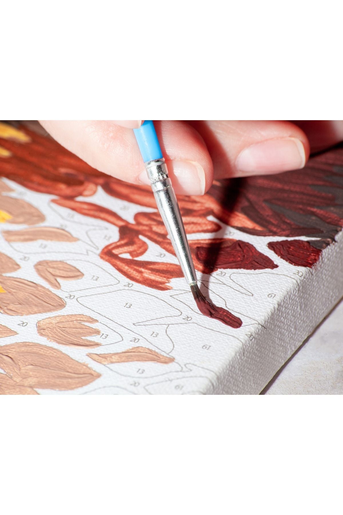 nan  sayılarla boyama seti ürün görseli