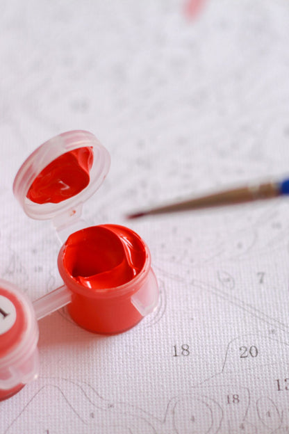 nan  sayılarla boyama seti ürün görseli