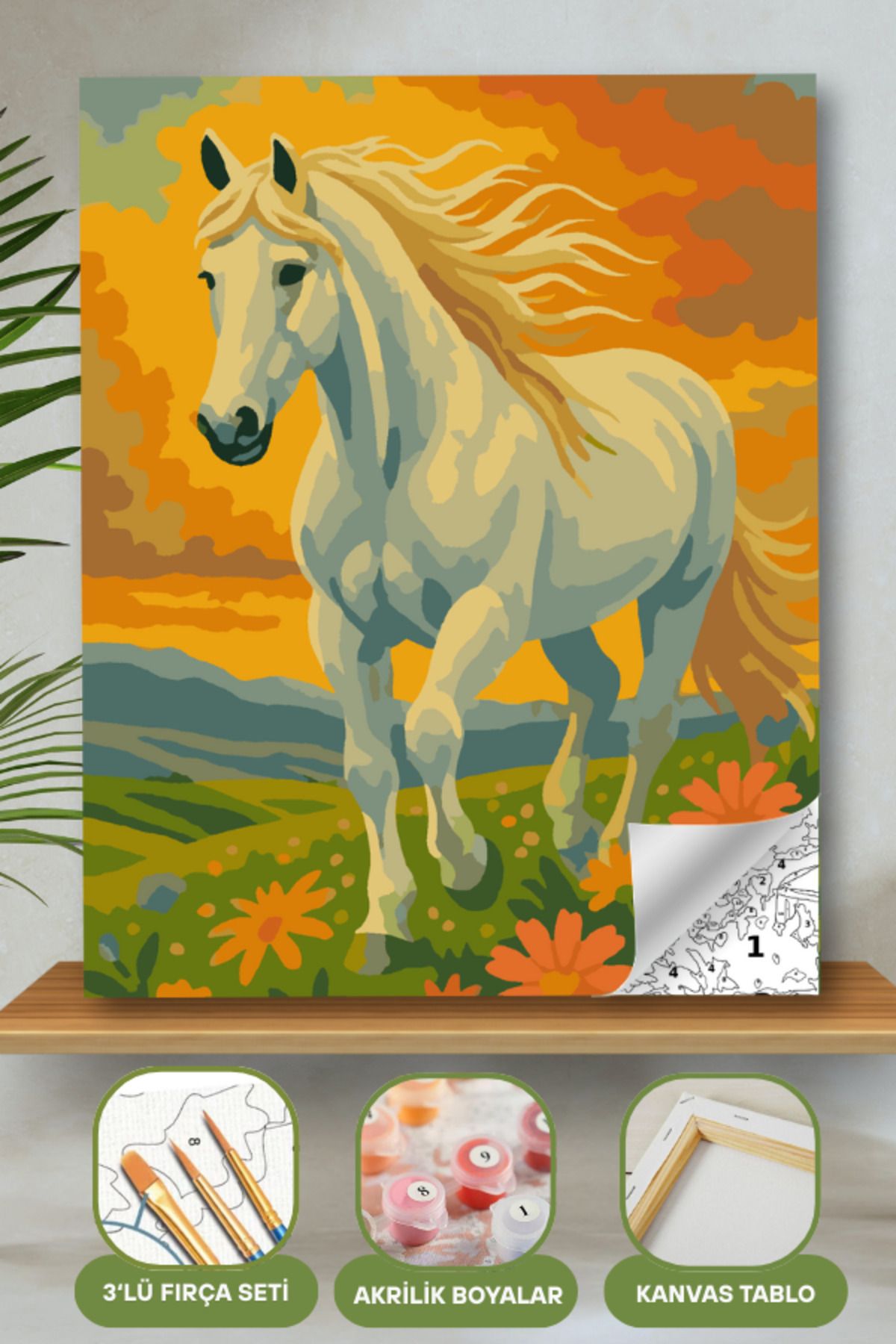 Sayılarla Boyama Ahşap Çerçeveli Kasnaklı Tuval Seti Fırça Boya Dahil Çıtalı 40x50 Cm 40X50 sayılarla boyama seti ürün görseli
