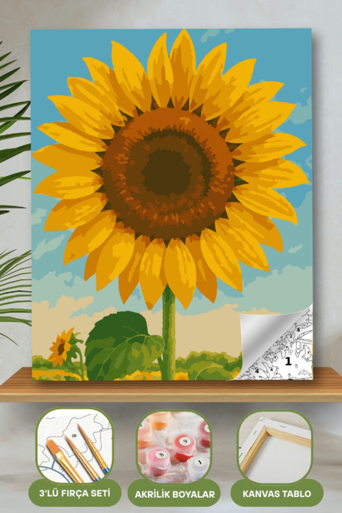 Sayılarla Boyama Ahşap Çerçeveli Kasnaklı Tuval Seti Fırça Boya Dahil Çıtalı 40x50 Cm 40X50 sayılarla boyama seti ürün görseli